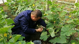 喜锐施教您如何正确使用微生物菌剂